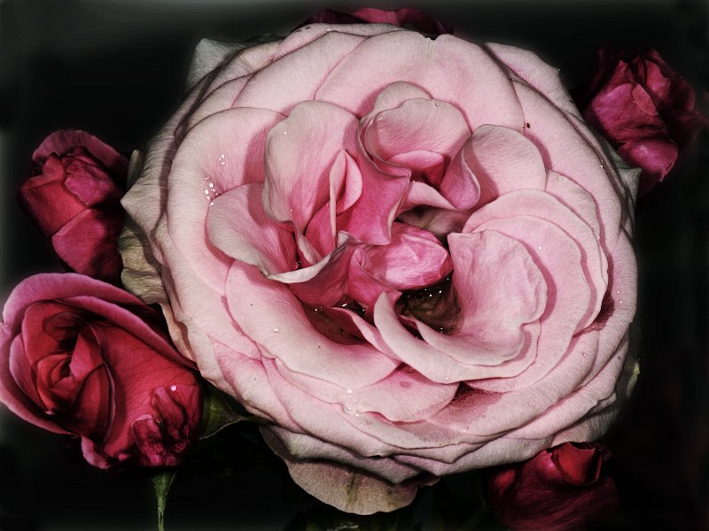 007-DX5Q5252 low key